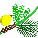 The greens and fruit of Sukkot: an etrog—a type of citrus—with a lulav—a palm frond, myrtle, and willow branches bound together.